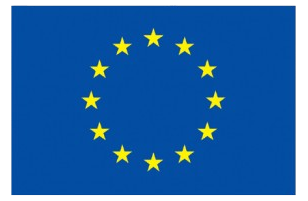 EU Logo